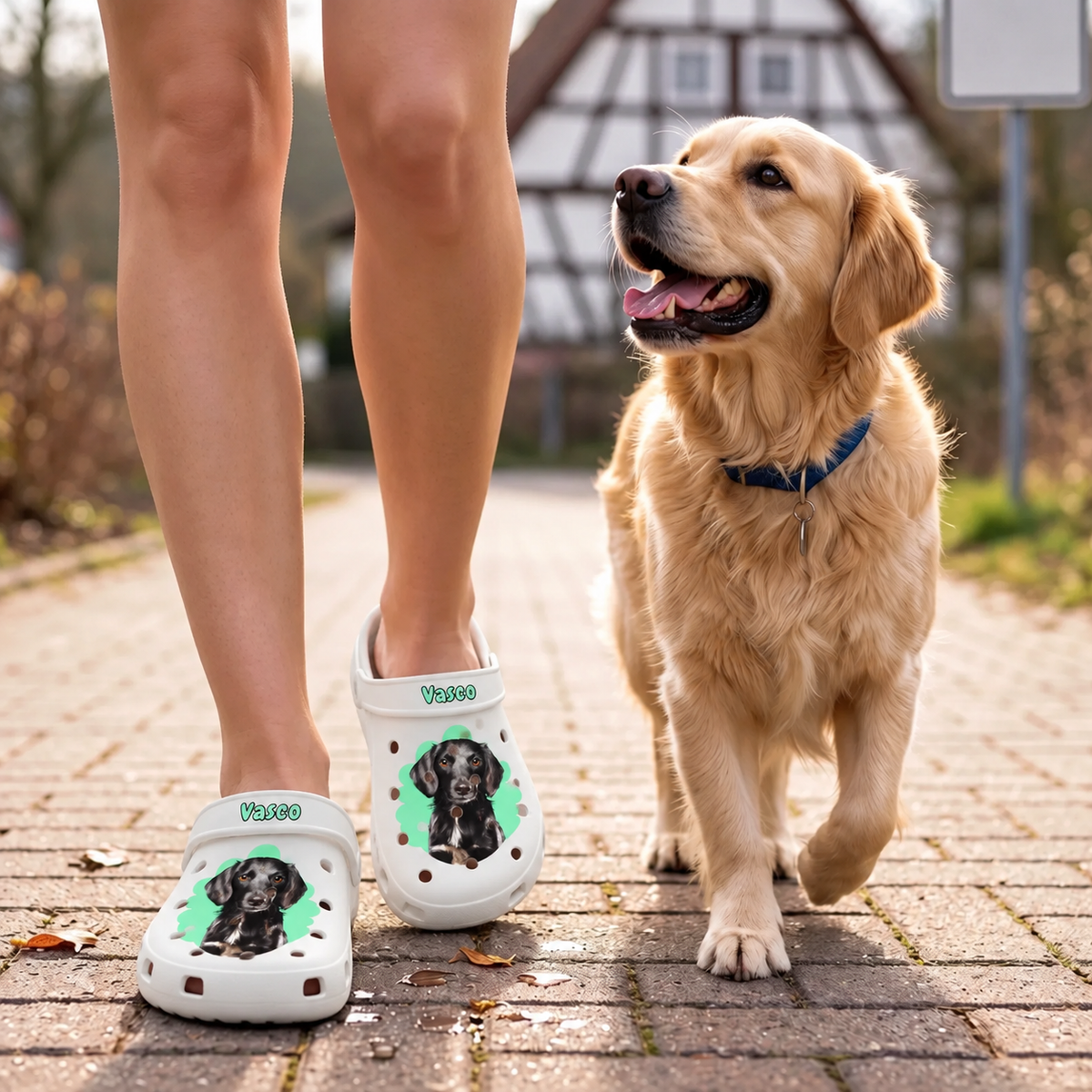 Person wearing personalized white clogs with pet portrait on a path with a golden retriever.